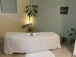 自然に囲まれた静かな別棟サロンで、深呼吸するようなひとときを